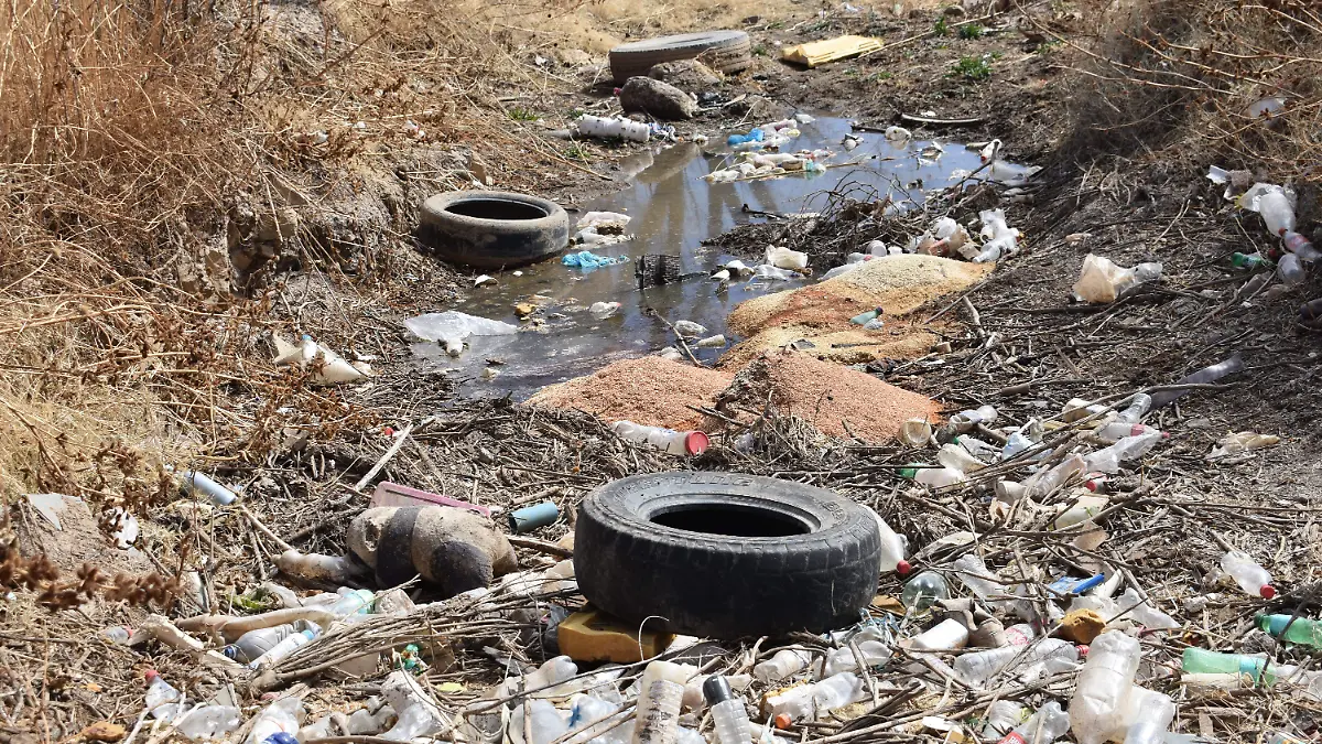 basura 5 nota de javier